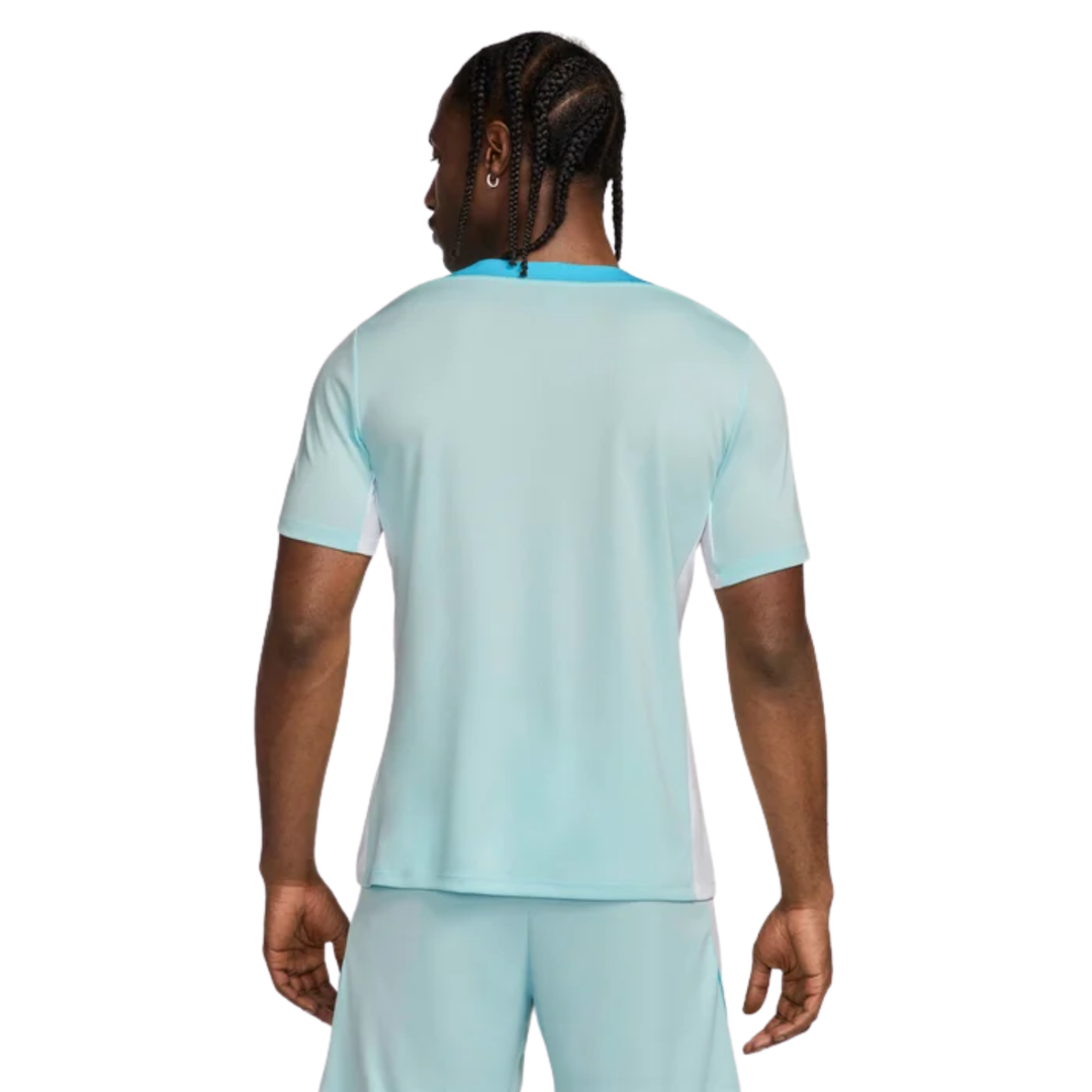 Strike Dri-Fit Shirt - Glacier Blue/White/Baltic Blue/White