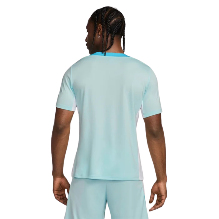 Strike Dri-Fit Shirt - Glacier Blue/White/Baltic Blue/White