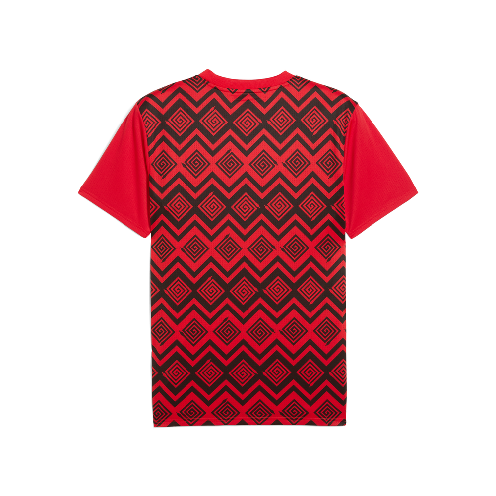 Egypt Pre-Match Shirt 25/26 - Red/Black by Puma at NUMBER 10 - Buy Now!