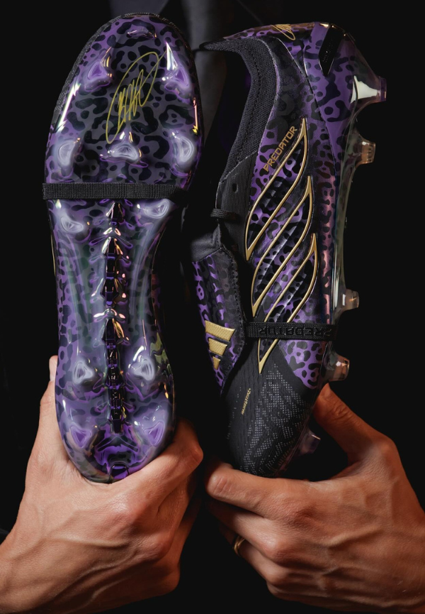 Kaka Predator