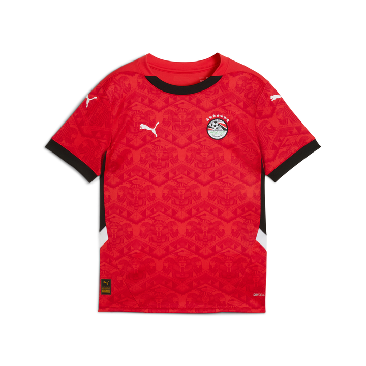 Egypt Youth Home Shirt 24/25