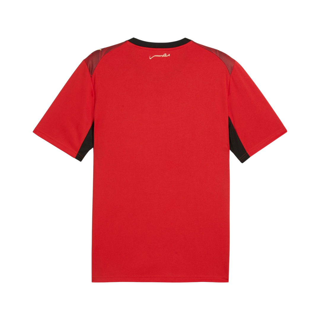 Egypt Stadium Home Shirt 26 by Puma at NUMBER 10 - Buy Now!