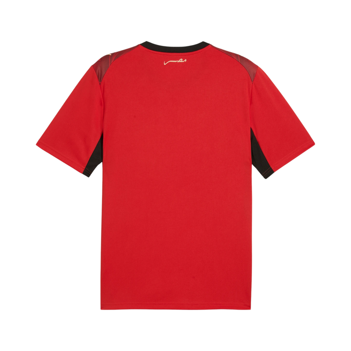 Egypt Stadium Home Shirt 26 by Puma at NUMBER 10 - Buy Now!
