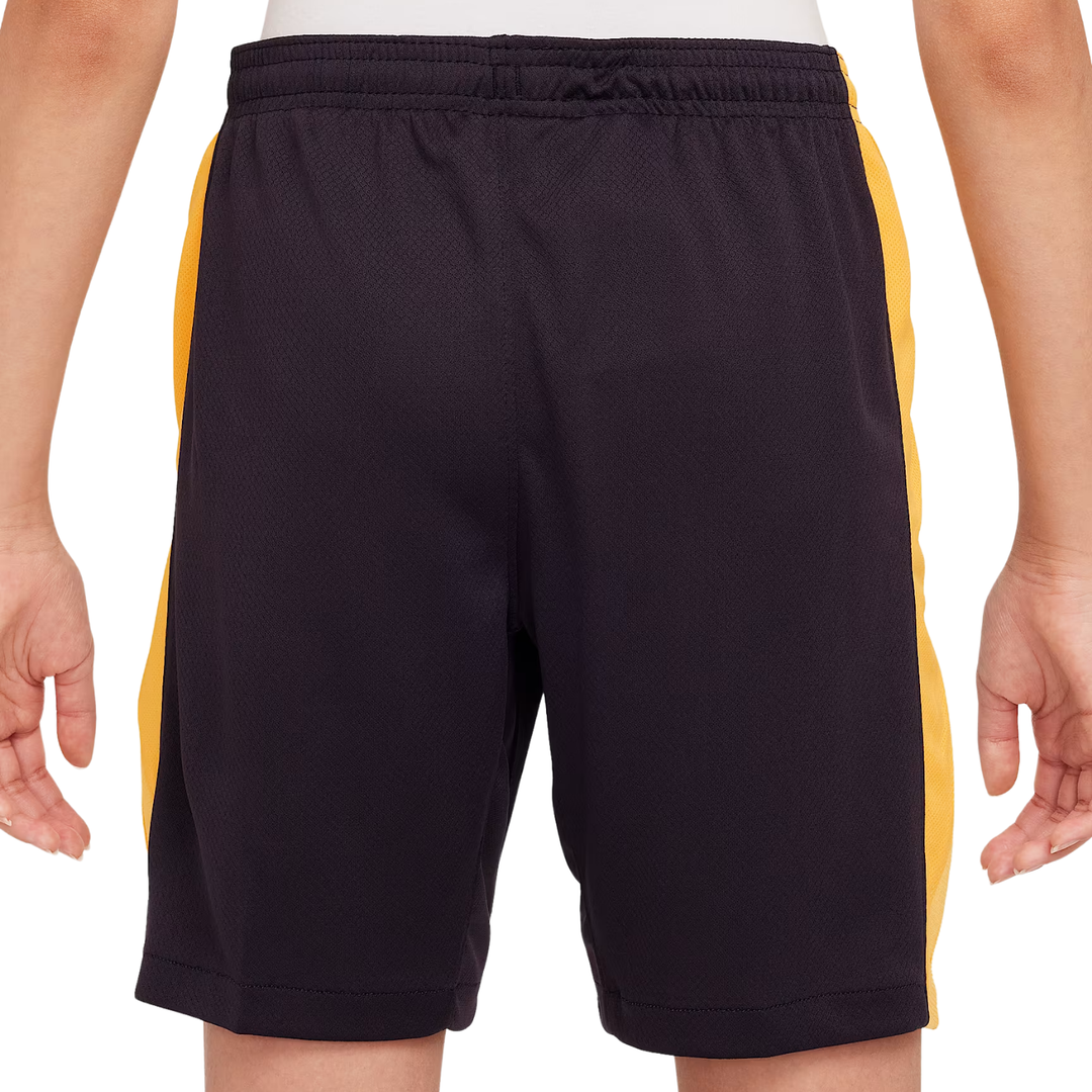 Inter Milan Youth Third Shorts 24/25 by Nike at NUMBER 10 - Buy Now!