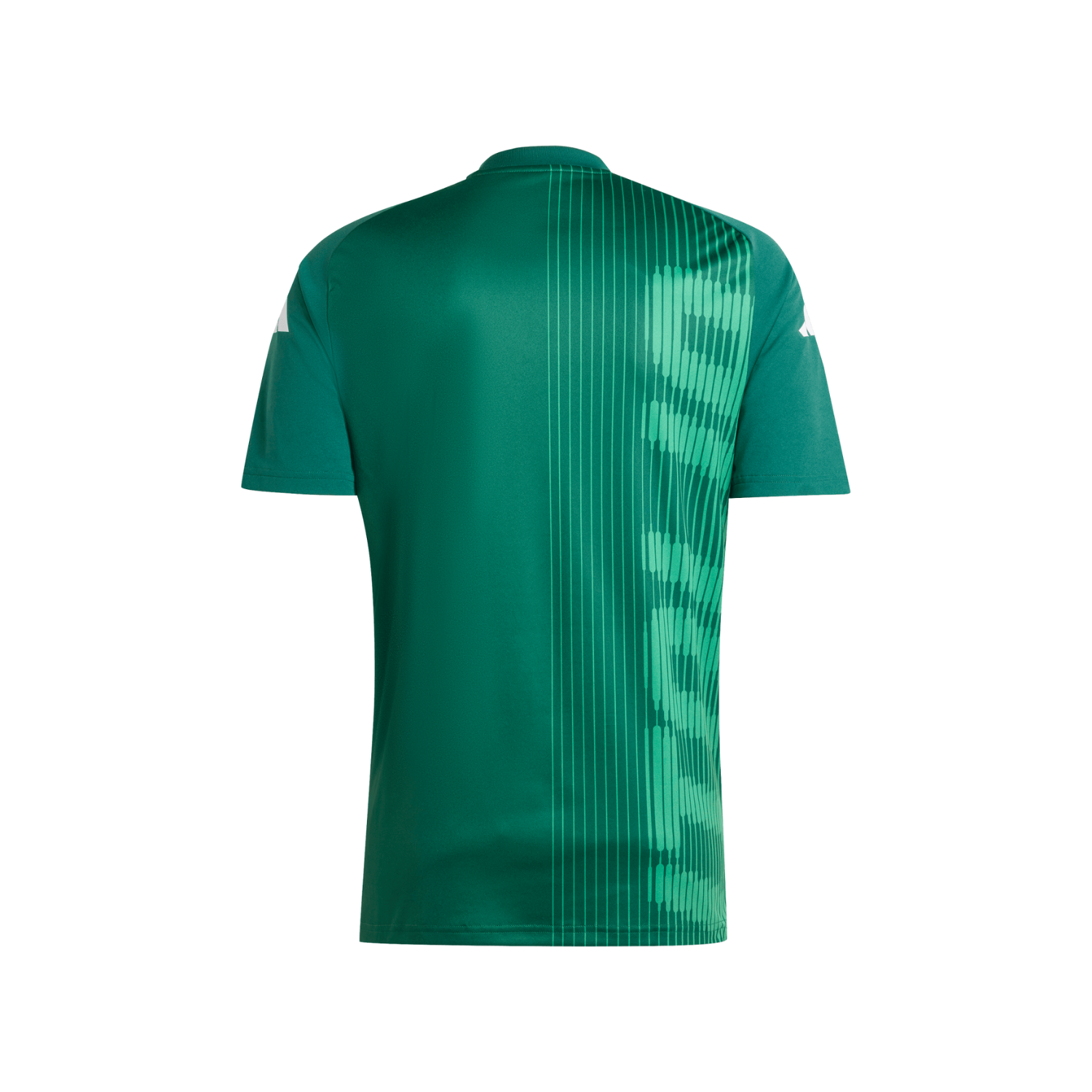 dark green adidas shirt