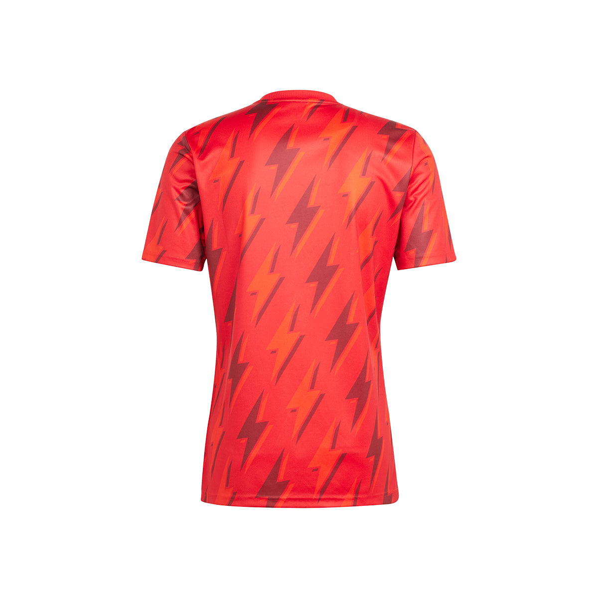 Arsenal Pre-Match Shirt 23/24 – NUMBER 10