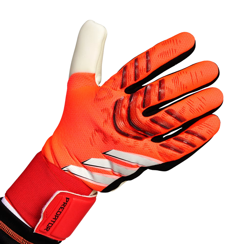 Predator GL Competition - Lucid Red/Black/White by adidas at NUMBER 10 - Buy Now!